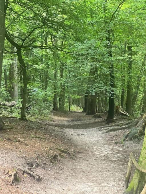 Ferienhaus Am Teutoburger Wald Detmold Buitenkant foto